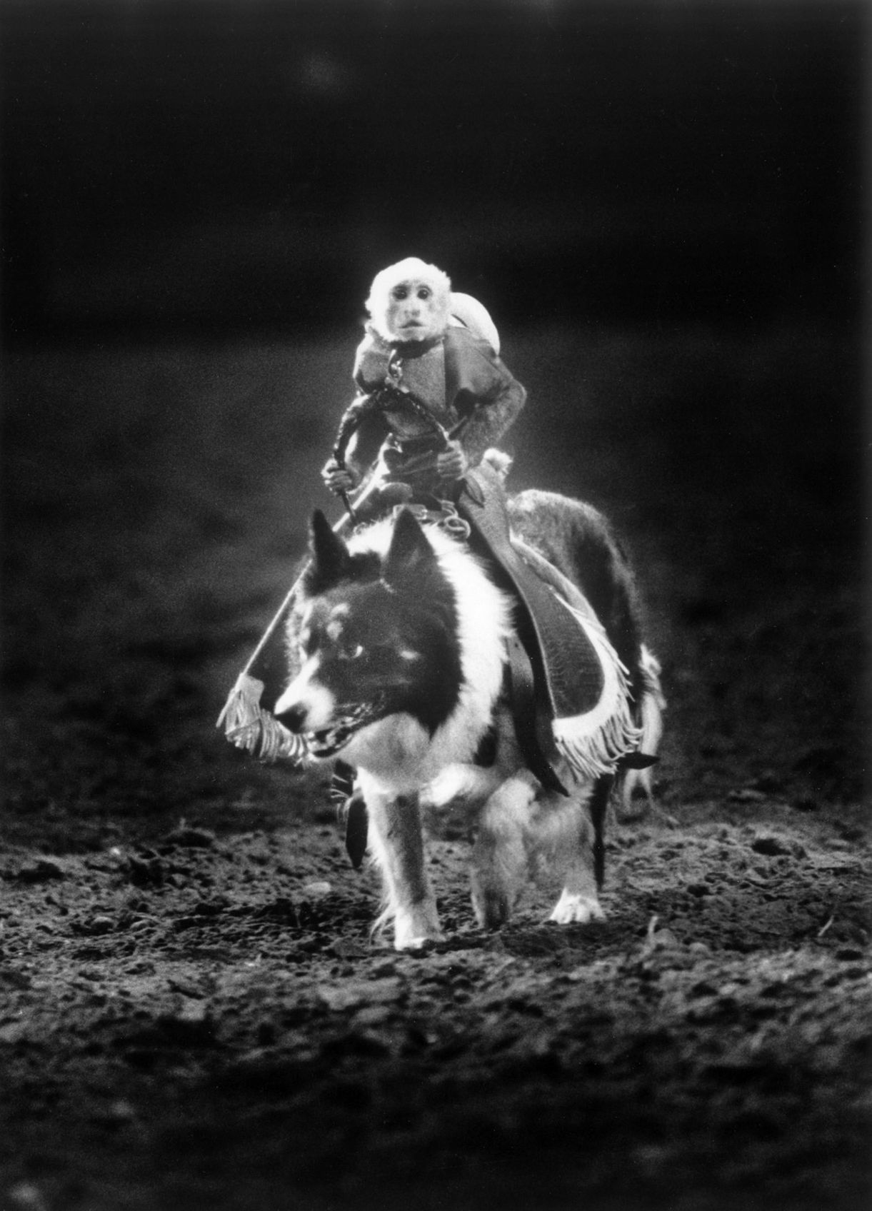 Rodeo